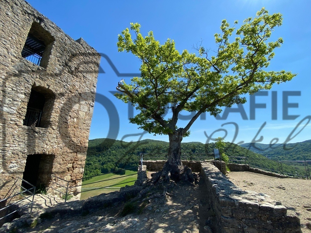 IMG_9149 | Fotobox, Portraitfotografie, Hochzeitsfotografie, Bewerbungsfoto - Realisiert mit Pictrs.com