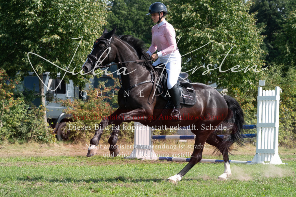 DSC_0865 | Pferde- und Turnierfotografie in Westsachsen. Pferdeportraits, Auftragszeichnungen und intuitive Kunst.