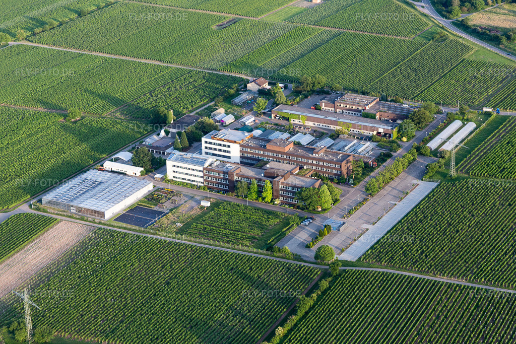Luftbild: des Dienstleistungszentrum Ländlicher Raum Rheinpfalz an der Weinstraße im Ortsteil Mußbach in Neustadt im Bundesland Rheinland-Pfalz in Deutschland. Foto: IMG_107748.jpg vom 03.06.2018 durch Werner Riehm/FLY-FOTO.de
