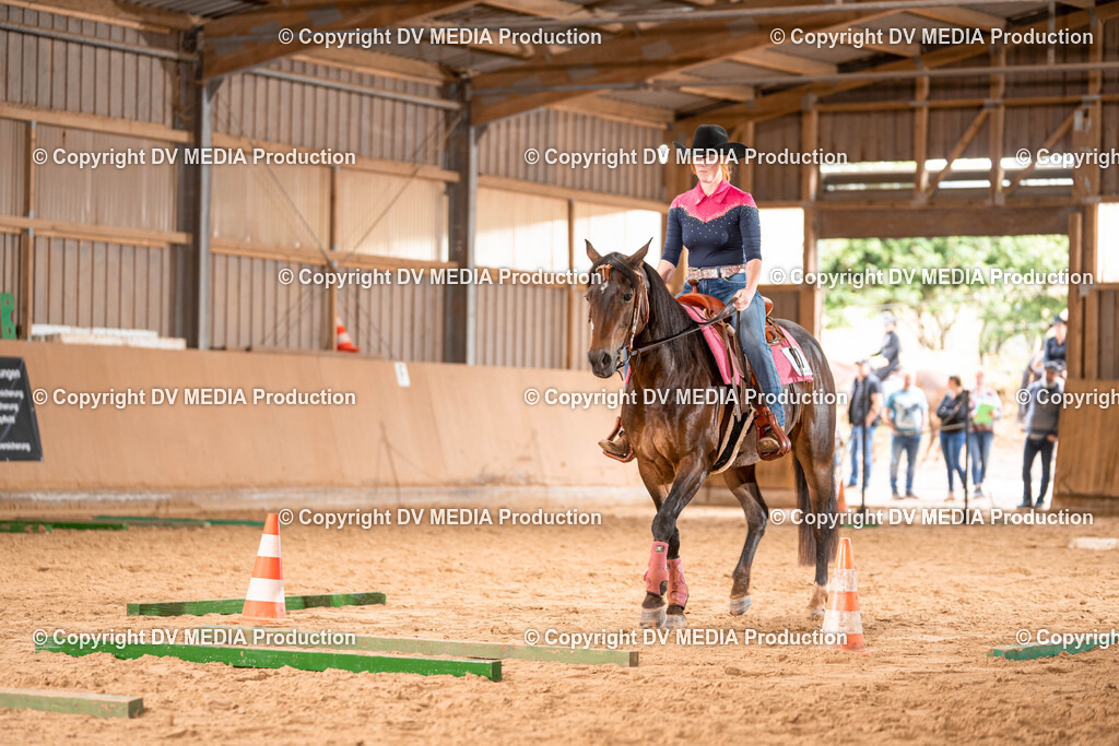 Losheim Tag 2-277 | dv-media-shop - Realisiert mit Pictrs.com