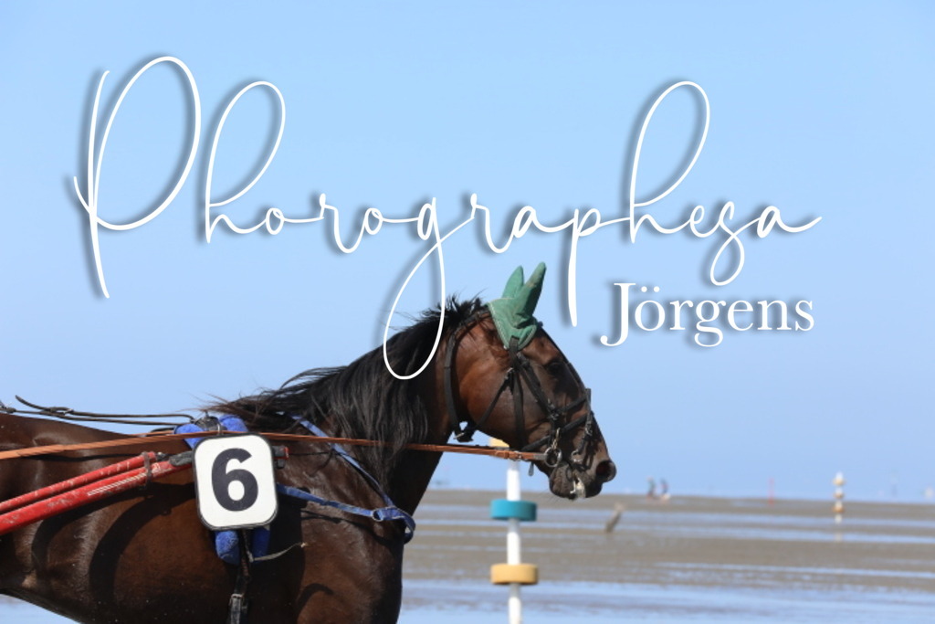 IMG_9496 | photographesa-joergens - Realisiert mit Pictrs.com