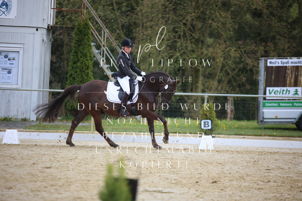 IMGT6005 | pl-fotografie