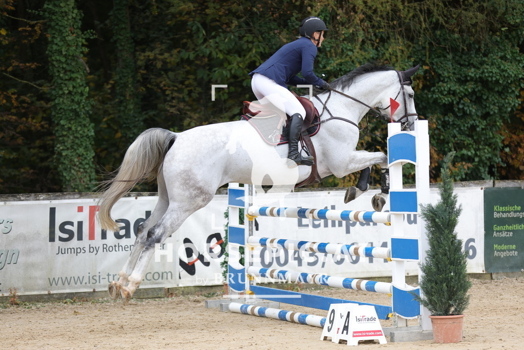 0P6A3036 | Willkommen bei Brunnmayr - Design & Fotografie – Ihrem Spezialisten für Reitturniere und Pferdeveranstaltungen in Oberösterreich, Salzburg und Bayern! Seit über 17 Jahren sind wir leidenschaftlich dabei.