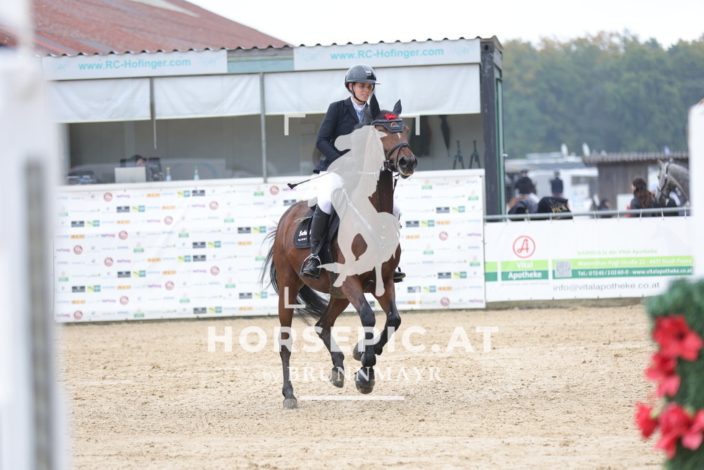 0P6A2050 | Willkommen bei Brunnmayr - Design & Fotografie – Ihrem Spezialisten für Reitturniere und Pferdeveranstaltungen in Oberösterreich, Salzburg und Bayern! Seit über 17 Jahren sind wir leidenschaftlich dabei.