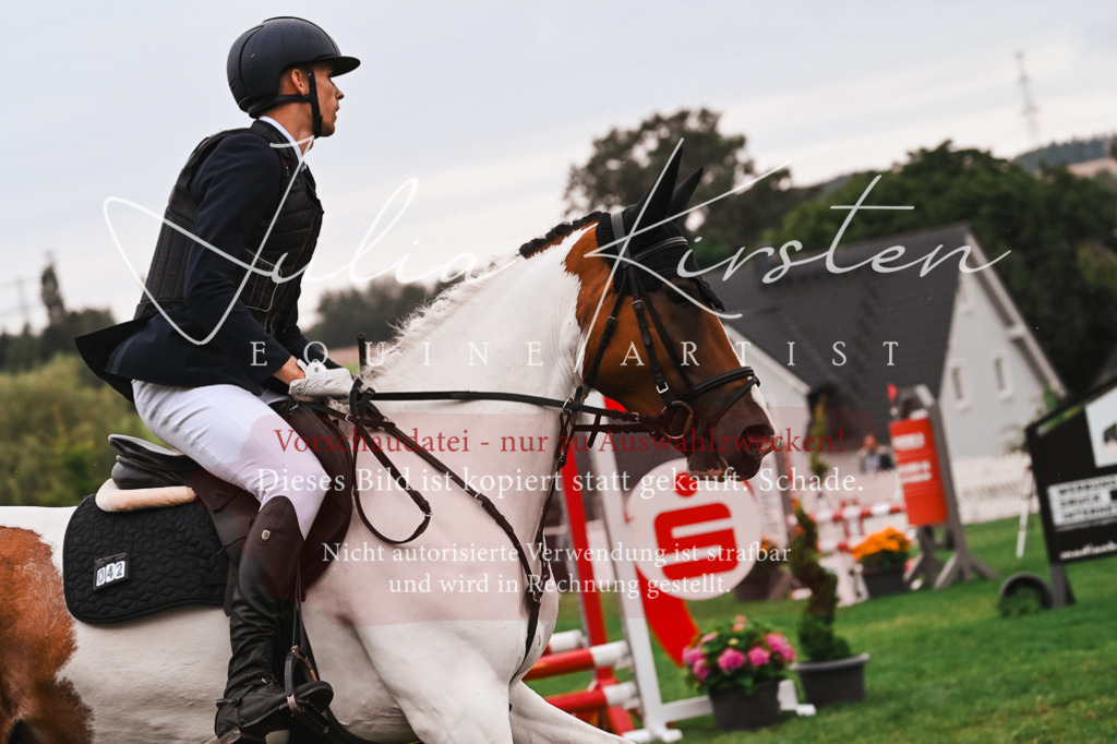 DSC_6505 | Pferde- und Turnierfotografie in Westsachsen. Pferdeportraits, Auftragszeichnungen und intuitive Kunst.
