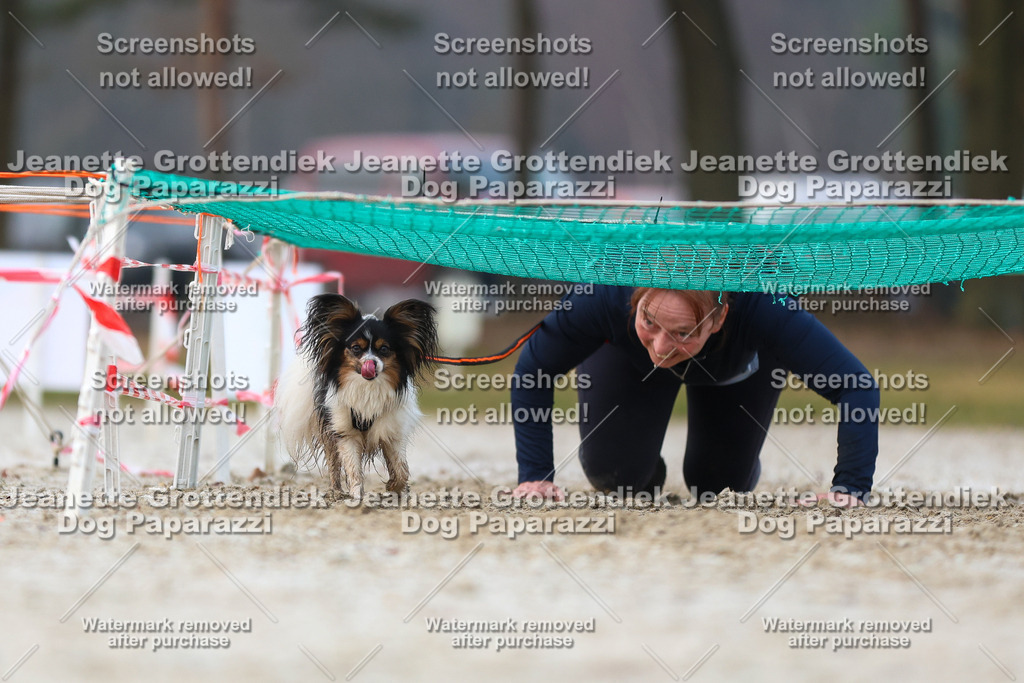 Dog Paparazzi - Strongdog North Mrz26-3643 | Dog Paparazzi Jeanette Grottendiek Fotografie & Videografie - Realisiert mit Pictrs.com