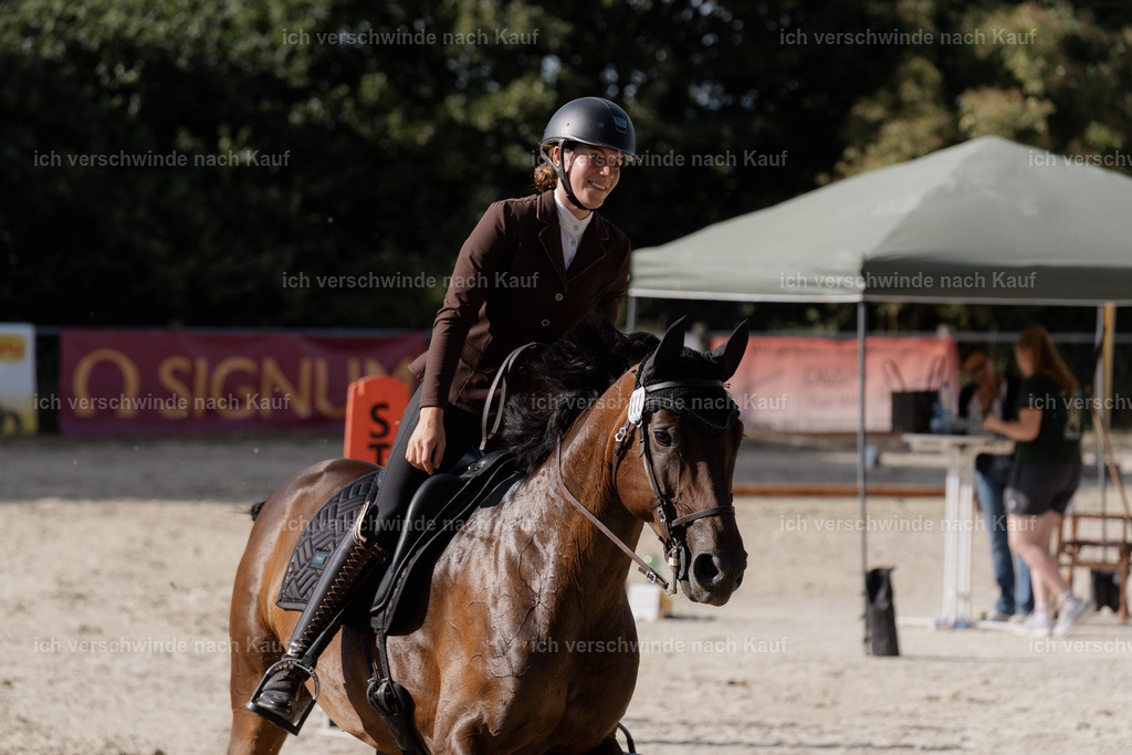 WS_SP_111_SinaFilmArt_IN09173 | working equitationturnier fotograf videograf stoibphotography marixx film working equitation deutschland reitsport turnierfotografie eventfotografie equestrian events
