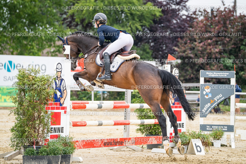 DSC00107 | Pferdegrafie