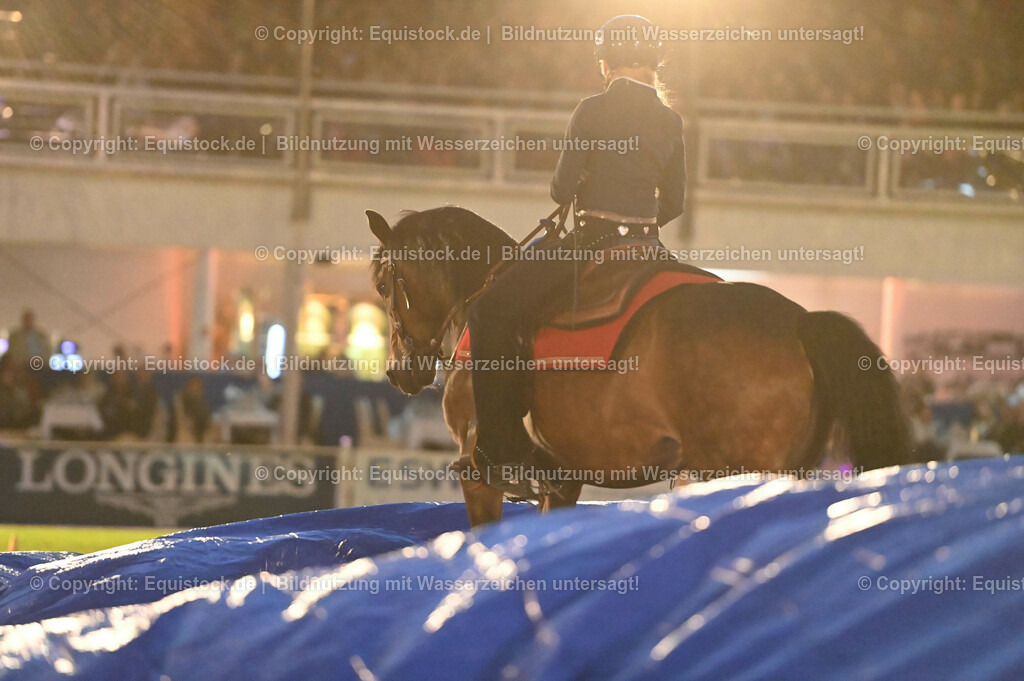 20230526_Pferdenacht_1042 | equistock