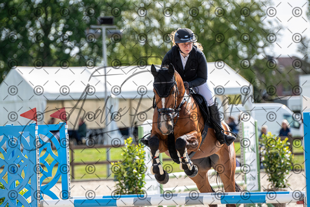 KPT_4698 | andre_photographic