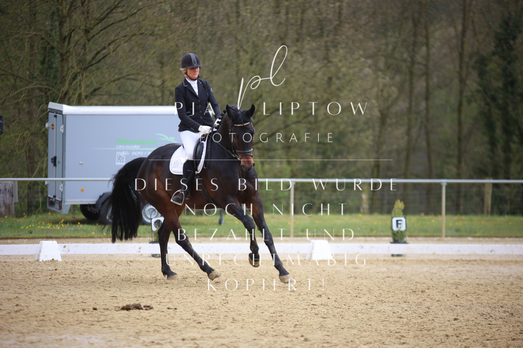 IMGT7111 | pl-fotografie