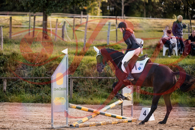 2026_10_03_Siefer-Hof_145921_Z81_41486225 | Professionelle Reitsport-, Turnier- und Eventfotografie von Robert Broda. Galerien mit ausgewählten und bearbeiteten Bildern direkt online ansehen und bestellen.