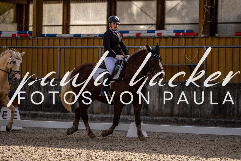IMG_3457 | Erleben Sie dynamische Sport- und emotionale Tierfotografie in Süddeutschland mit Fotos von Paula. Spezialisiert auf Pferde- und Hundefotografie sowie Sportevents. Kontaktieren Sie mich für einzigartige und ausdrucksstarke Bilder Ihrer besonderen Momente. - Realisiert mit Pictrs.com