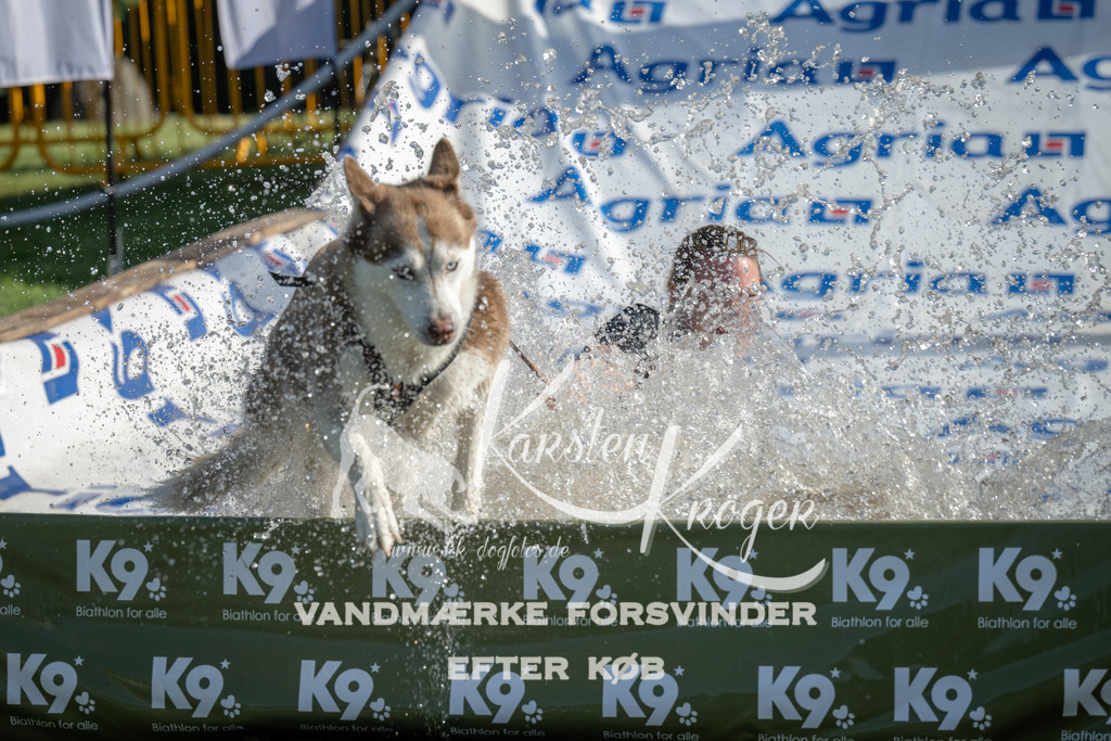 0936_ZZ96498 | kk-dogfotos