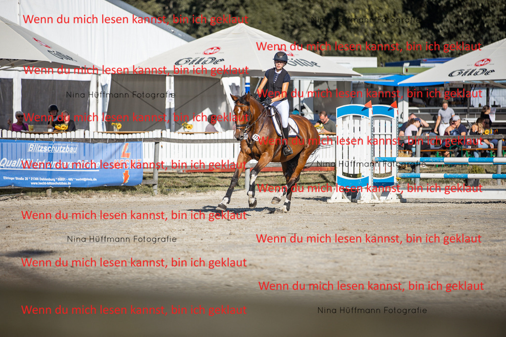 BK1A7607 | Turnierbilder Turnierfotos Nina Hüffmann Turnierfotografie Pferdefotografie Tierzeichnung Haustierzeichnung Pferdezeichnung Hundezeichnung Videograf  - Realisiert mit Pictrs.com