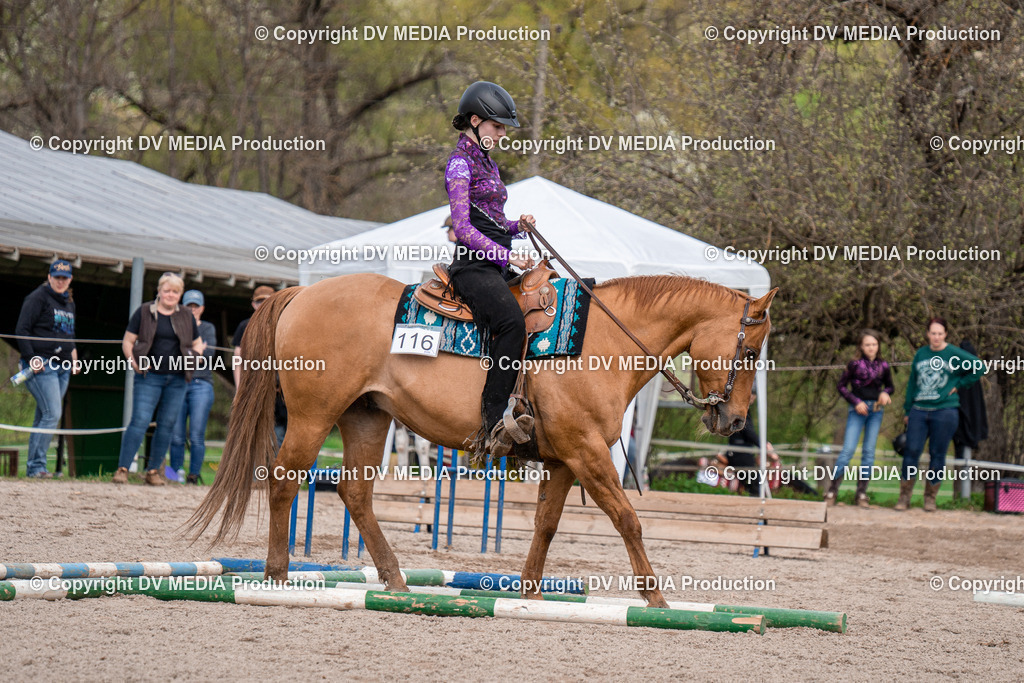 BAL02515 | dv-media-shop - Realisiert mit Pictrs.com