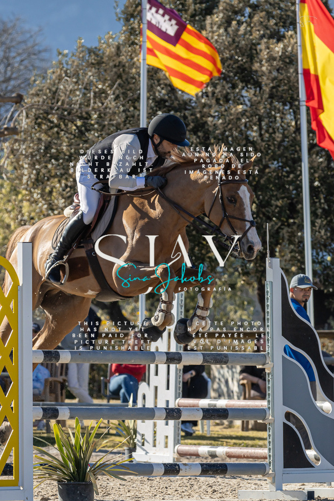 IMG_1704 | s-jay-photography - Realisiert mit Pictrs.com