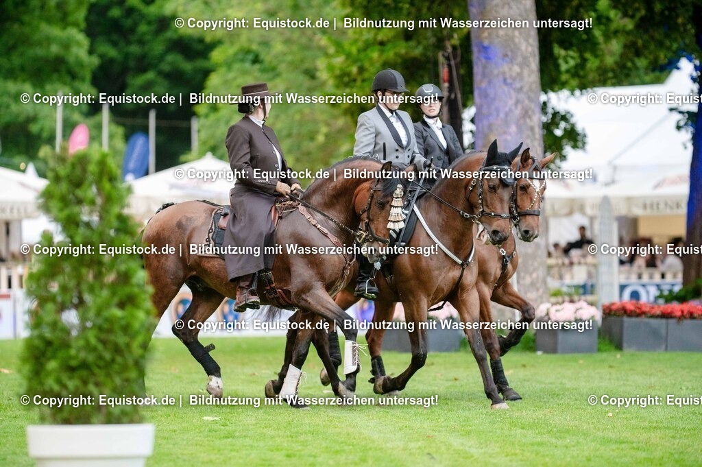 20250606_Lange-Pferdenacht_0616 | Foto: Thomas Hartig