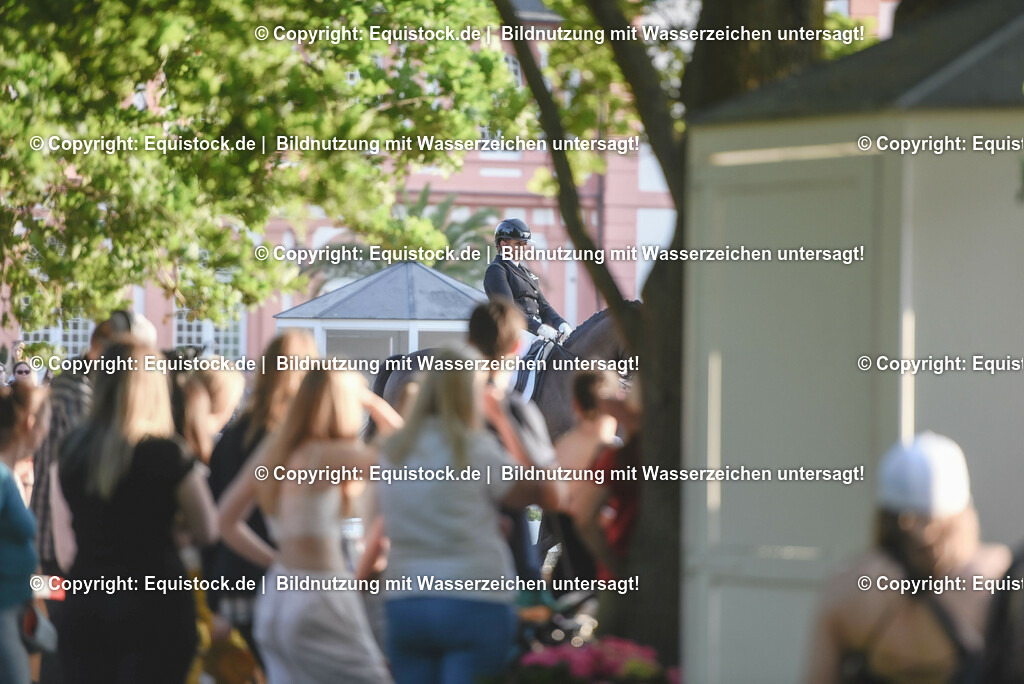 TP5_1729 | equistock