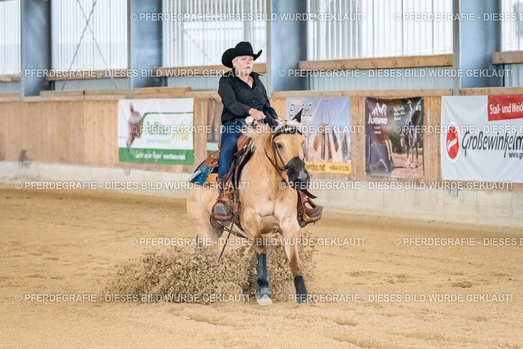 DSC08526 | Pferdegrafie