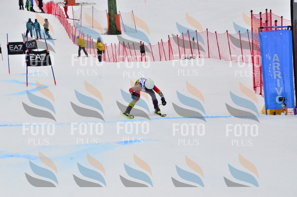 _ELE3836 | holidayphoto