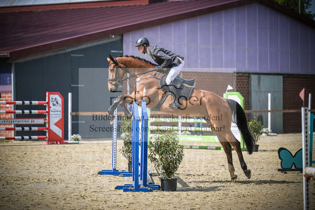 DOS_6930 | Entdecke hochwertige Reitturnierfotos von Foto Oger. Professionell, emotional und authentisch – jetzt Lieblingsmomente im Shop bestellen.Deutschlandweite Turnierfotografie. - Realisiert mit Pictrs.com