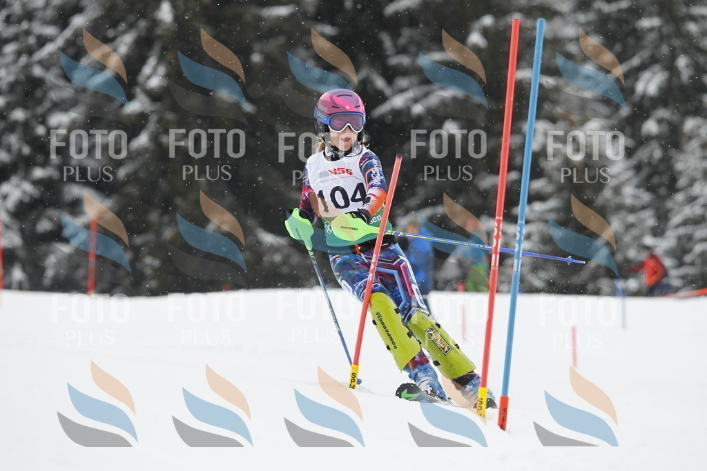 A1566 | holidayphoto