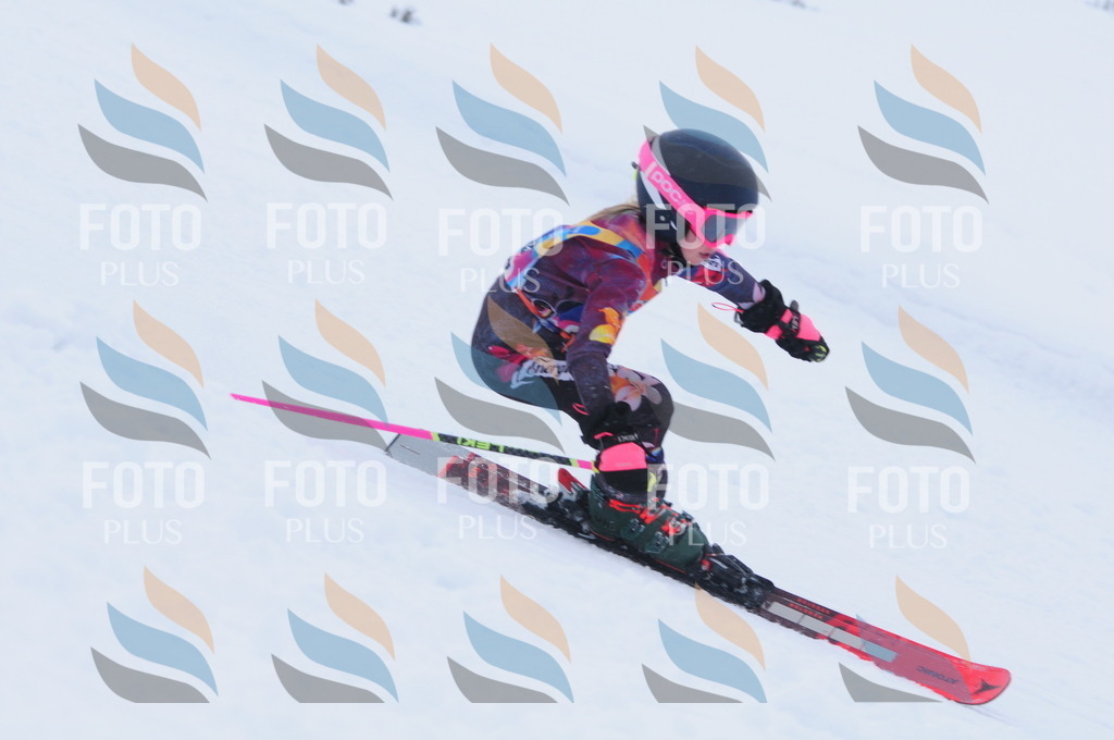 C1777 | holidayphoto