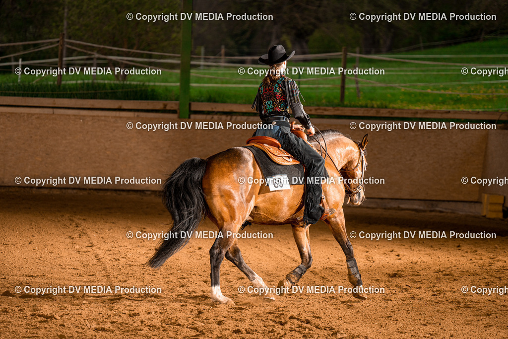 BAL01091 | dv-media-shop - Realisiert mit Pictrs.com