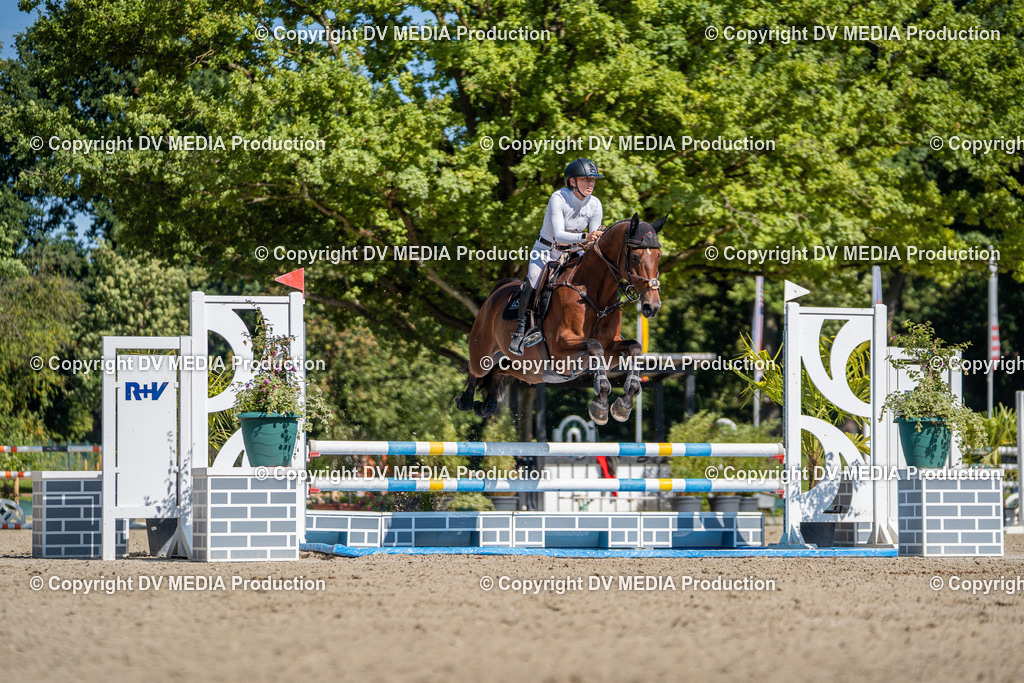 Hessische Tag 3-11 | dv-media-shop - Realisiert mit Pictrs.com