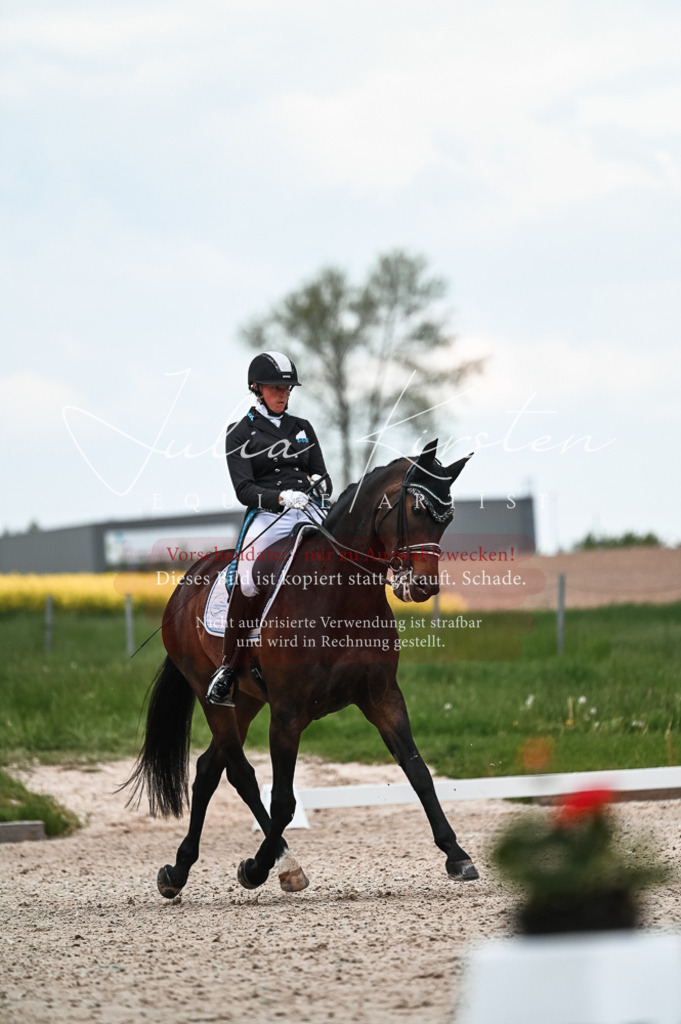 20230514_JK-Röhrsdorf-21-238 | Pferde- und Turnierfotografie in Westsachsen. Pferdeportraits, Auftragszeichnungen und intuitive Kunst.