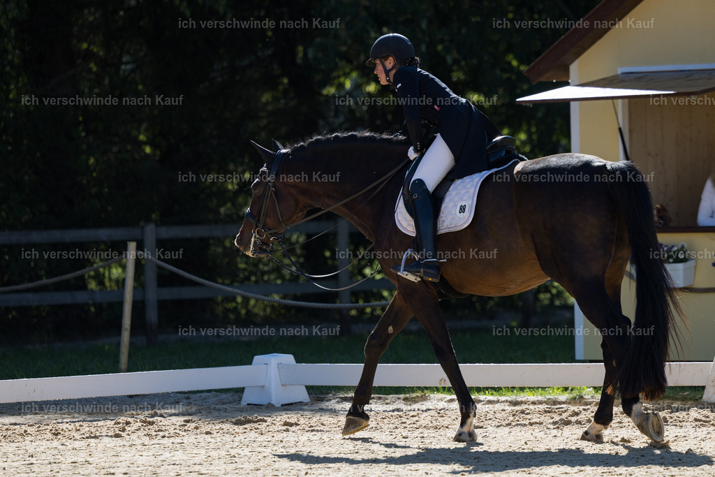 FHC2026_P07_88_17660 | working equitationturnier fotograf videograf stoibphotography marixx film working equitation deutschland reitsport turnierfotografie eventfotografie equestrian events