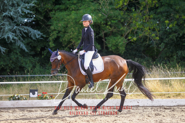 DKP45786 | Turniersportfotografie; Pferdefotografie; Dressurfotografie