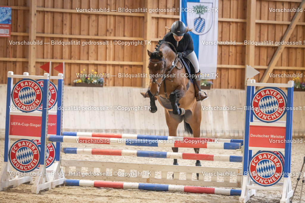 _D5A7323 | Emotionale Pferde- & People-Fotografie rund um Heidelberg, Leimen & Umgebung. Natürliche Fotos von Pferd, Mensch & Familie. Jetzt Termin sichern!