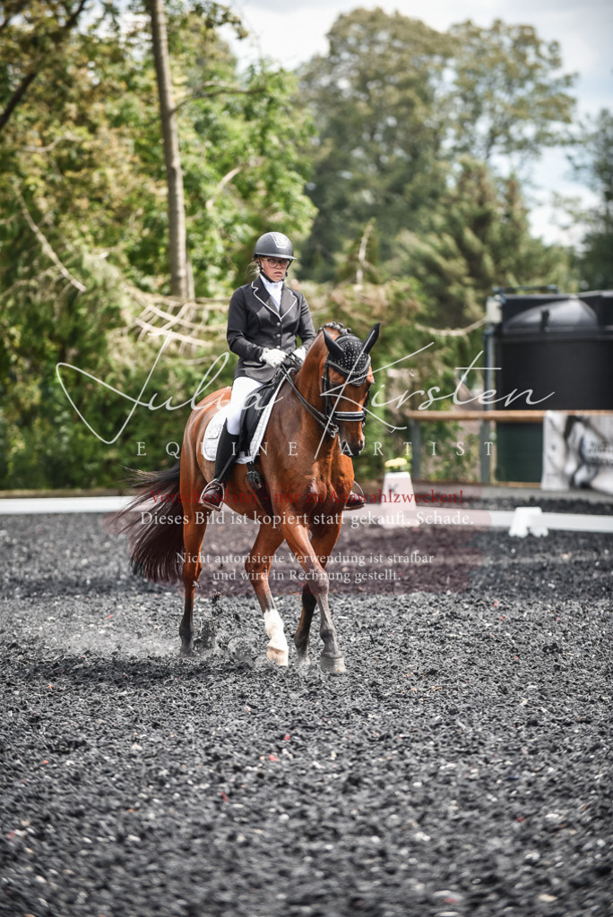 DSC_4969 | Pferde- und Turnierfotografie in Westsachsen. Pferdeportraits, Auftragszeichnungen und intuitive Kunst.