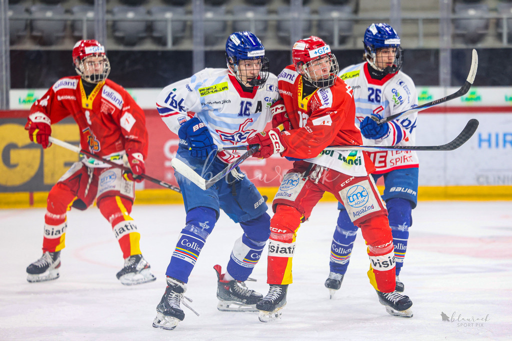 U18_EHCB vs EHCK_wb20260308-0990 | Sportbilder, Sportfotograf, Hochzeits- und Eventfotografin, Flugshows, Portraits und Tiershooting, Aviation, Downhill, Nationalleague, Swissleague, International