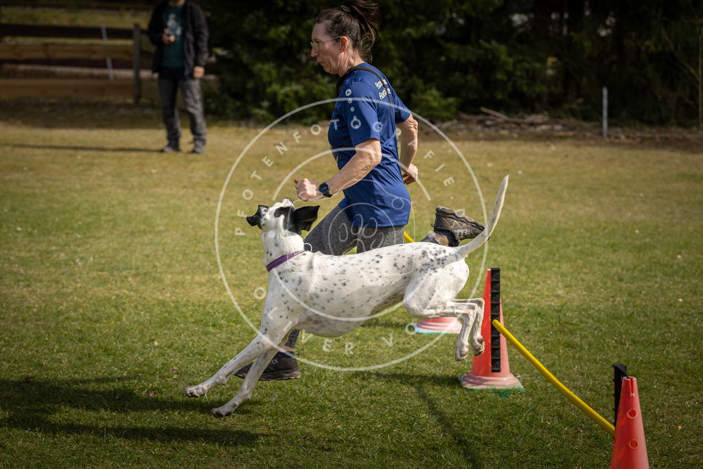 Pfotenfotografie_DV3A9534 | Hundefotografie, Tierfotograf, Pfotenfotografie, Fotoshooting Hund, Hunde Portrait, Hundesport, Hundeportraits, Heideshooting, Hunde, Sportfotograf, Hundefotograf, Turnierhundsport, THS,  - Realisiert mit Pictrs.com