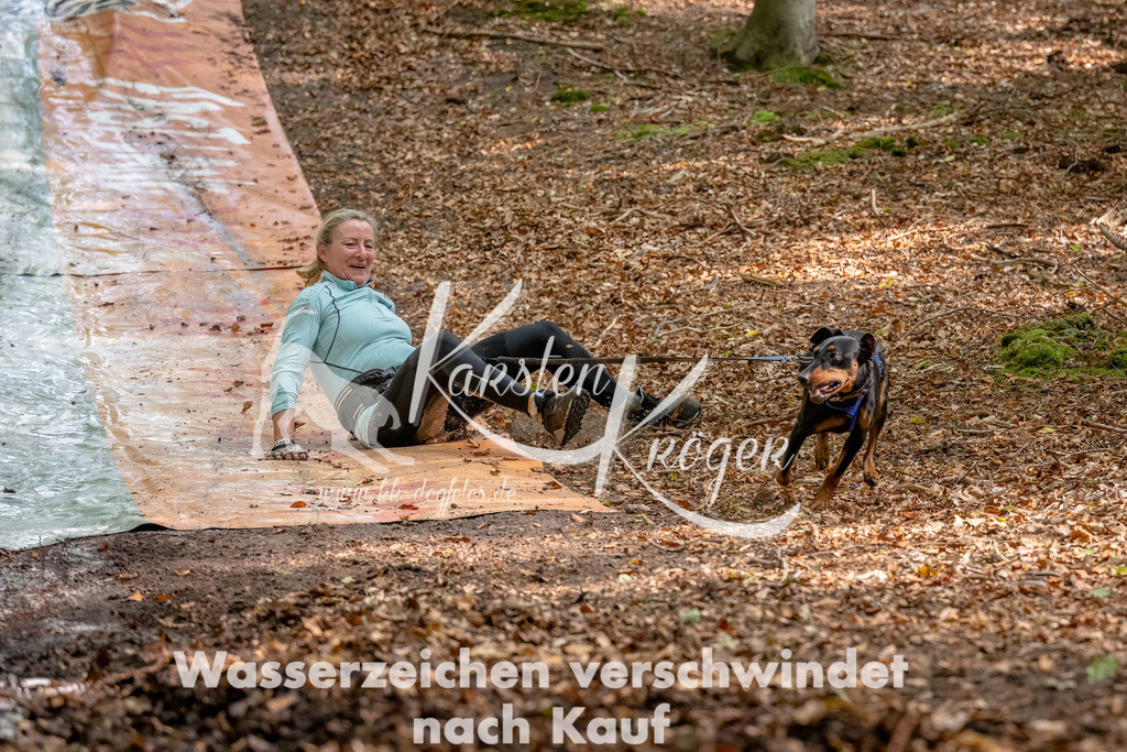 1253_ZZ91370-Bearbeitet | kk-dogfotos