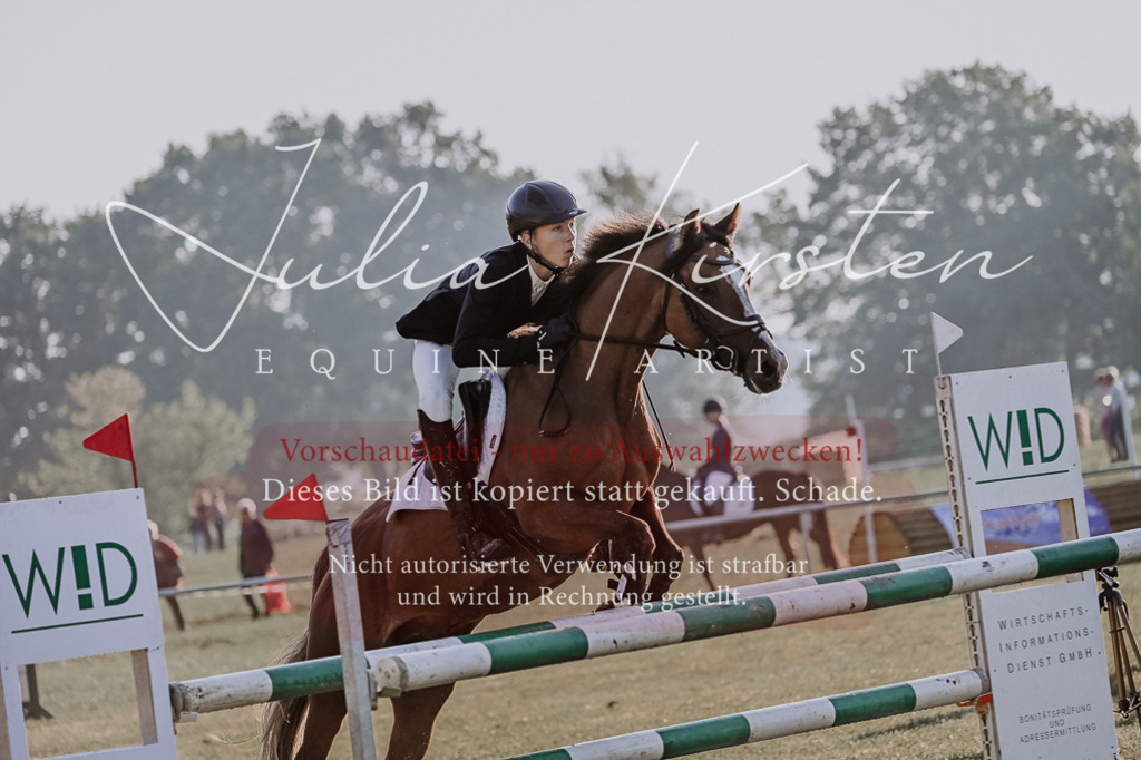 DSC_4127 | Pferde- und Turnierfotografie in Westsachsen. Pferdeportraits, Auftragszeichnungen und intuitive Kunst.