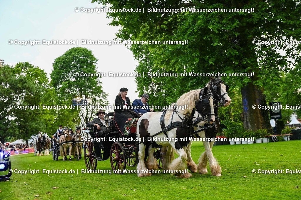 20250606_Lange-Pferdenacht_0190 | Foto: Thomas Hartig