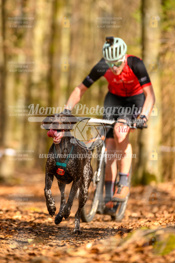 MompixPhotography_Habay2025_SA_SCO-6 | PayLife