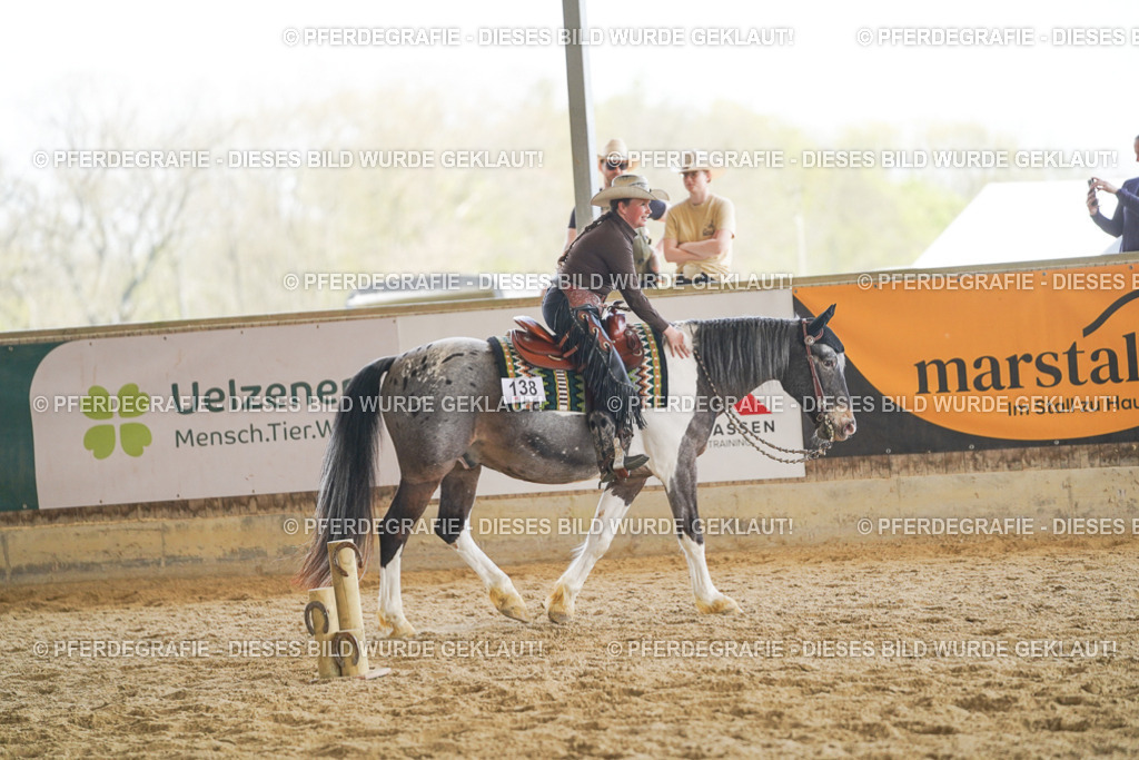 DSC02153 | Pferdegrafie