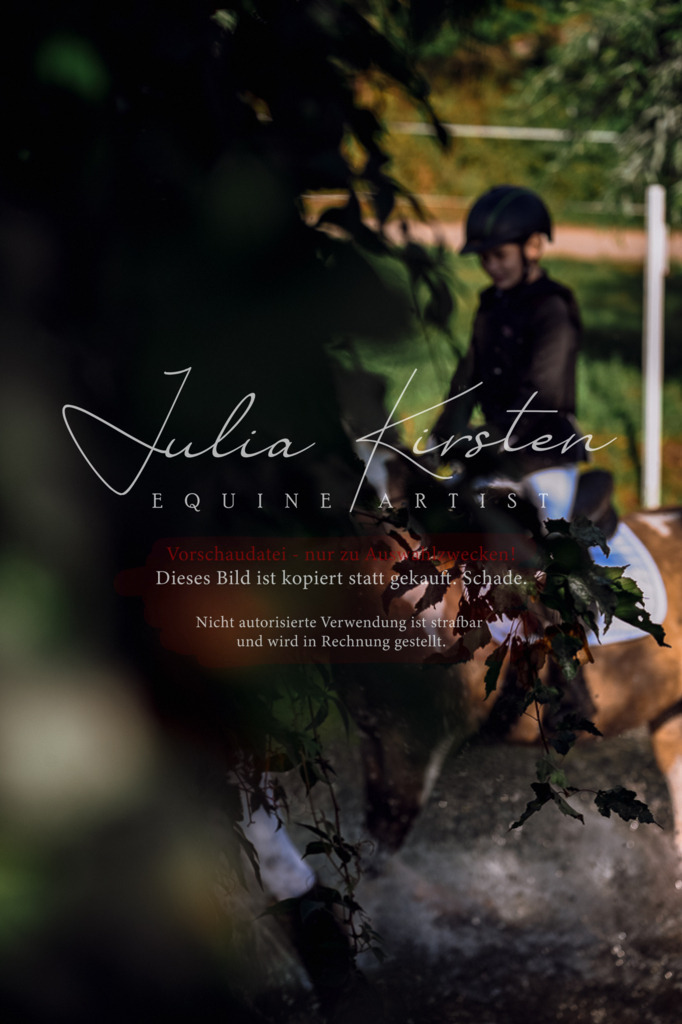 DSC_0342 | Pferde- und Turnierfotografie in Westsachsen. Pferdeportraits, Auftragszeichnungen und intuitive Kunst.