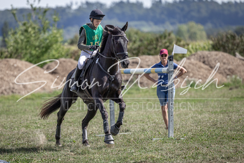 20250907-_3LI1568 | Tierfotografie Pferde, Hunde, Katzen, Haustiere.
Turnierfotografie Reitturniere, Reiten, Springreiten, Dressur in Hanau, dem Main-Kinzig-Kreis und dem Rhein-Main- Gebiet um Frankfurt