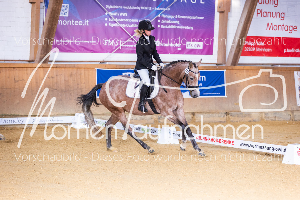 Sth-A-Dre-1St-163 | MomenTaufnahmen Pferdesportfotos