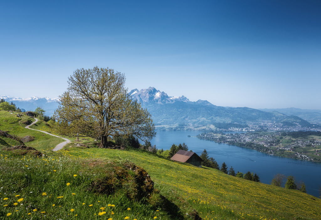 Seebodenalp 3 | Blick von der Seebodenalp auf Pilatus und Vierwaldstättersee - Realisiert mit Pictrs.com