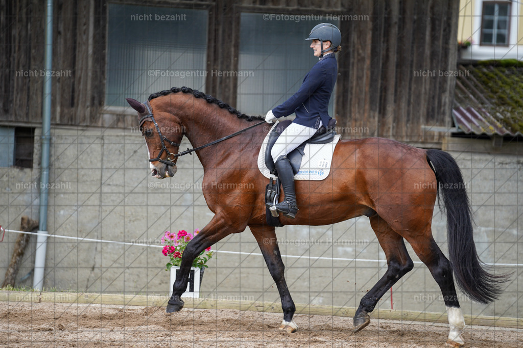 20240519-FAH05105 | Turnierbilder Niederseeon 2024, Vielseitigkeitsdressur, Reitsportbilder aus dem Landkreit Ebersberg, Gut Steinsee, RC Steinsee, Fotoagentur Herrmann