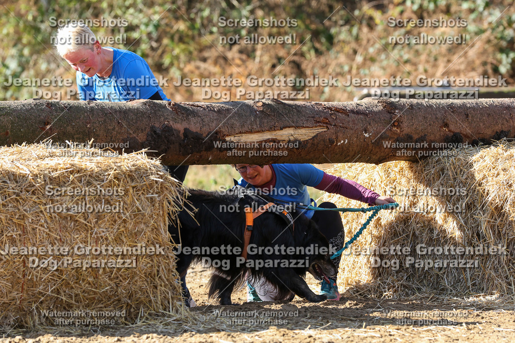 Dog Paparazzi - Strongdog 10-25-4791 | Dog Paparazzi Jeanette Grottendiek Fotografie & Videografie - Realisiert mit Pictrs.com