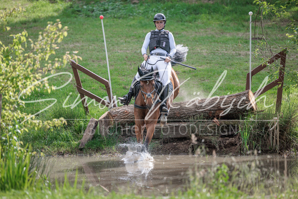 20260523-_3LI9933 | Tierfotografie Pferde, Hunde, Katzen, Haustiere.
Turnierfotografie Reitturniere, Reiten, Springreiten, Dressur in Hanau, dem Main-Kinzig-Kreis und dem Rhein-Main- Gebiet um Frankfurt