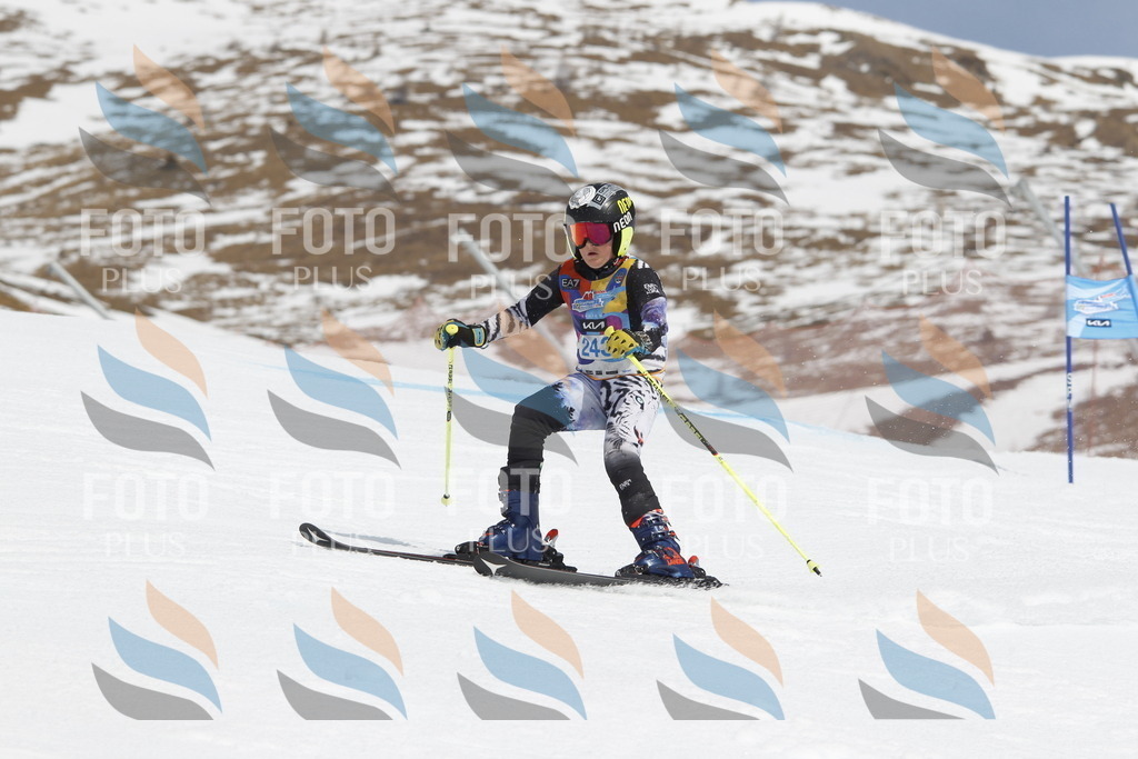 _U3G2744 | holidayphoto